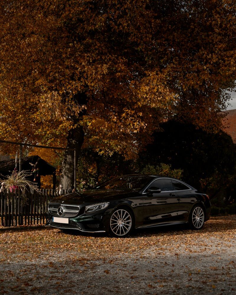 A sleek black car elegantly parked under golden autumn trees in Munich, Germany.